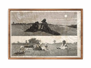 Flirting on the Seashore and on the Meadow