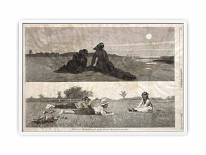 Flirting on the Seashore and on the Meadow