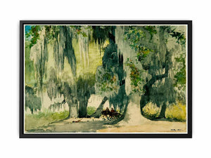 Among the Oaks (Live Oaks)