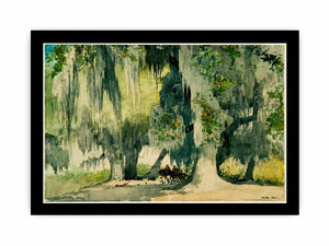 Among the Oaks (Live Oaks)
