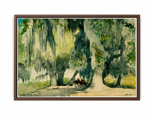 Among the Oaks (Live Oaks)