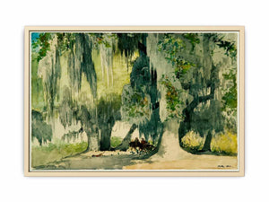 Among the Oaks (Live Oaks)
