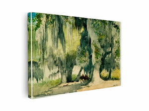 Among the Oaks (Live Oaks)