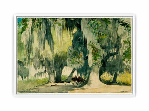 Among the Oaks (Live Oaks)