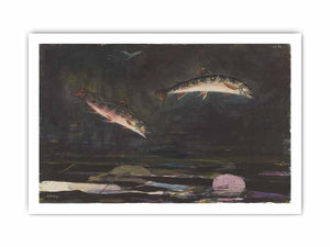 Leaping Trout