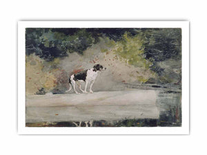 Dog on a Log