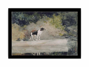 Dog on a Log