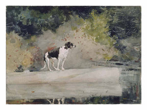 Dog on a Log