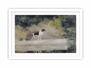 Dog on a Log