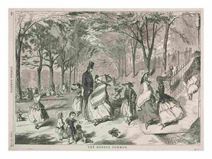 The Boston Common
