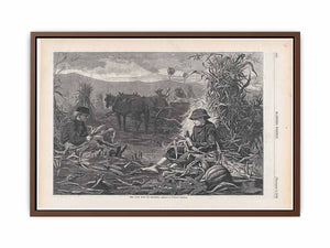 The Last Days of Harvest – Drawn by Winslow Homer