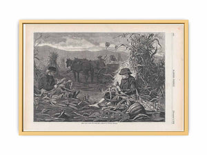 The Last Days of Harvest – Drawn by Winslow Homer