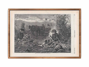 The Last Days of Harvest – Drawn by Winslow Homer