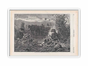 The Last Days of Harvest – Drawn by Winslow Homer
