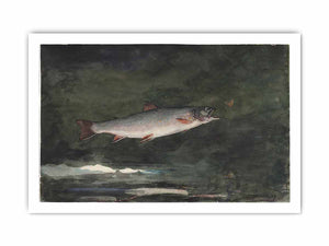 Leaping Trout