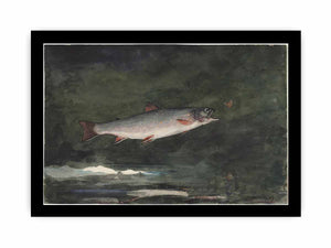 Leaping Trout