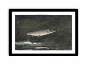 Leaping Trout
