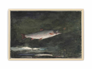 Leaping Trout