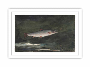 Leaping Trout