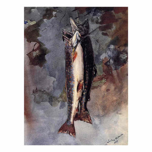 Two Trout