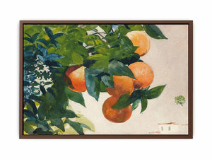 Oranges on a Branch