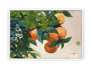 Oranges on a Branch