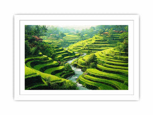 Rice Terrace paddy bali