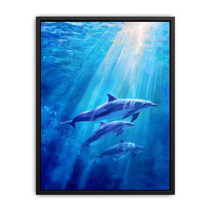 Dolphin Underwater