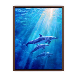 Dolphin Underwater
