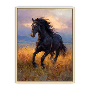 Black horse