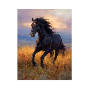 Black horse