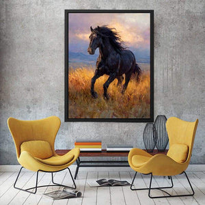 Black horse