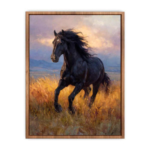 Black horse