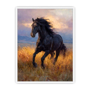 Black horse