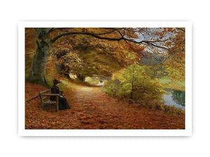 A Wooded Path In Autumn