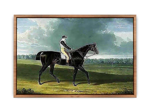 Filho da Puta', the Winner of the Great St. Leger at Doncaster