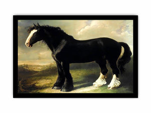 Old English Black Horse