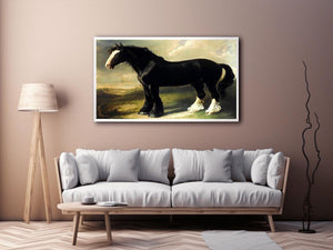 Old English Black Horse
