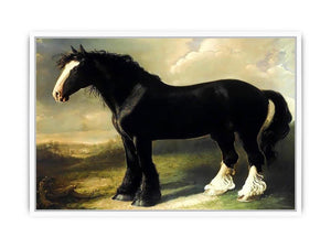 Old English Black Horse