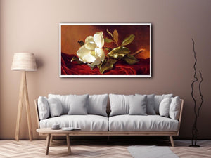 A Magnolia On Red Velvet