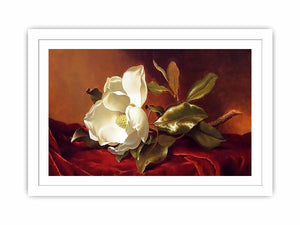 A Magnolia On Red Velvet