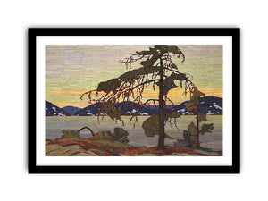 The Jack Pine