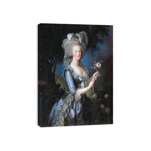 Marie Antoinette after Vigee-Lebrun