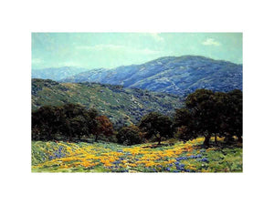 Flowers Under the Oaks