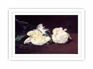 Branch of White Peonies and Secateurs