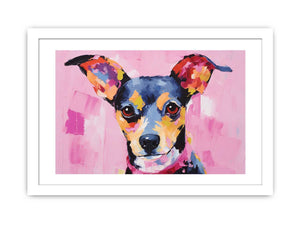 Pink Dog