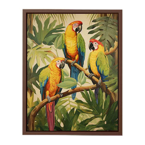 Tropical Parrotsg