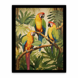 Tropical Parrotsg