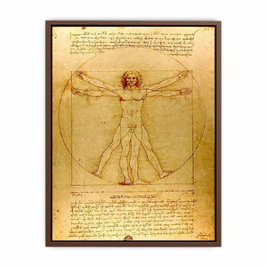 Vitruvian Man by Leonardo Da Vinci