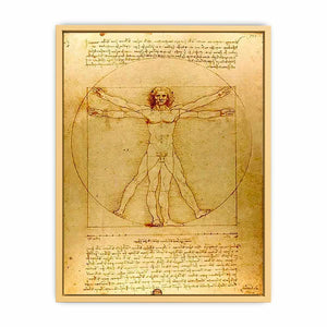 Vitruvian Man by Leonardo Da Vinci